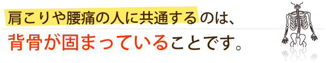 背骨が固まる